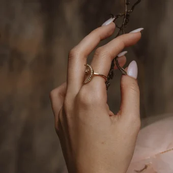 Hand with crescent ring holding dried twig